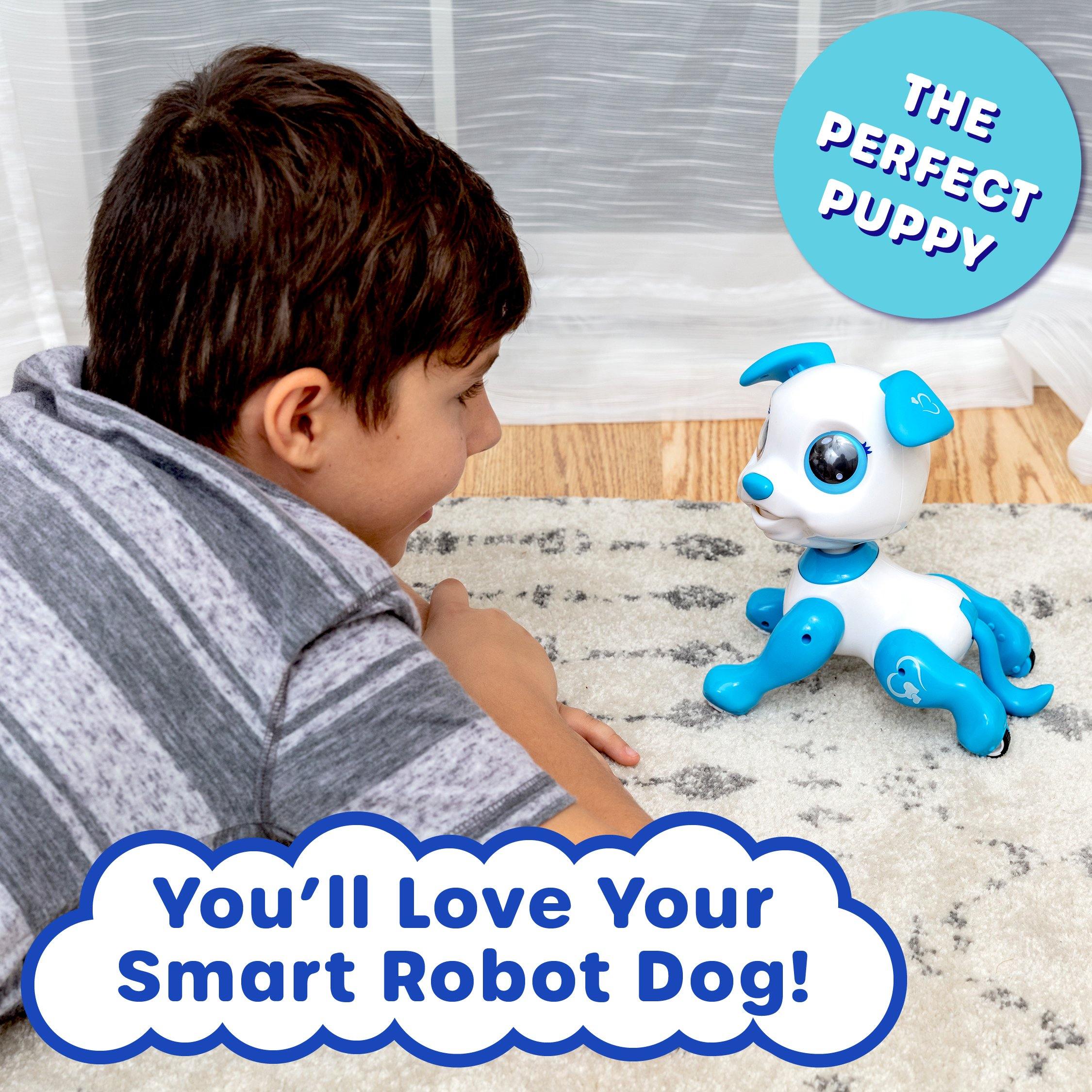 Power Your Fun Robo Pets Robot Dog Toy - poweryourfun