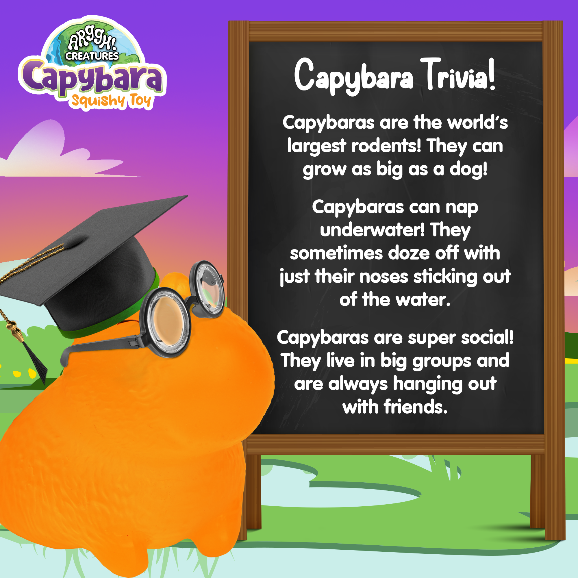 Power Your Fun Capybara Squishy Toy 2-Pack (Purple & Orange)